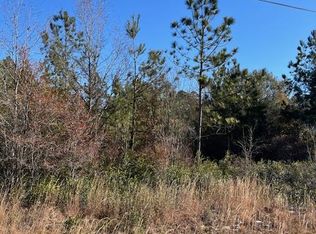 0 Locklier Rd, Homerville, GA 31634