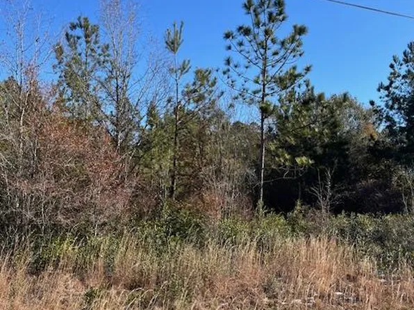 0 Locklier Rd, Homerville, GA 31634