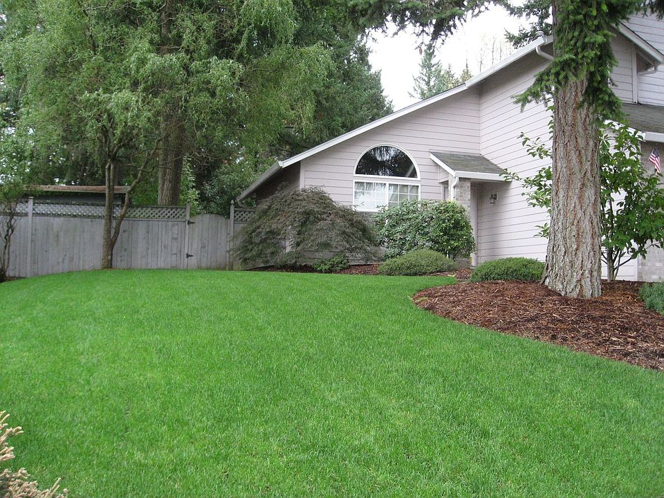 Front side yard