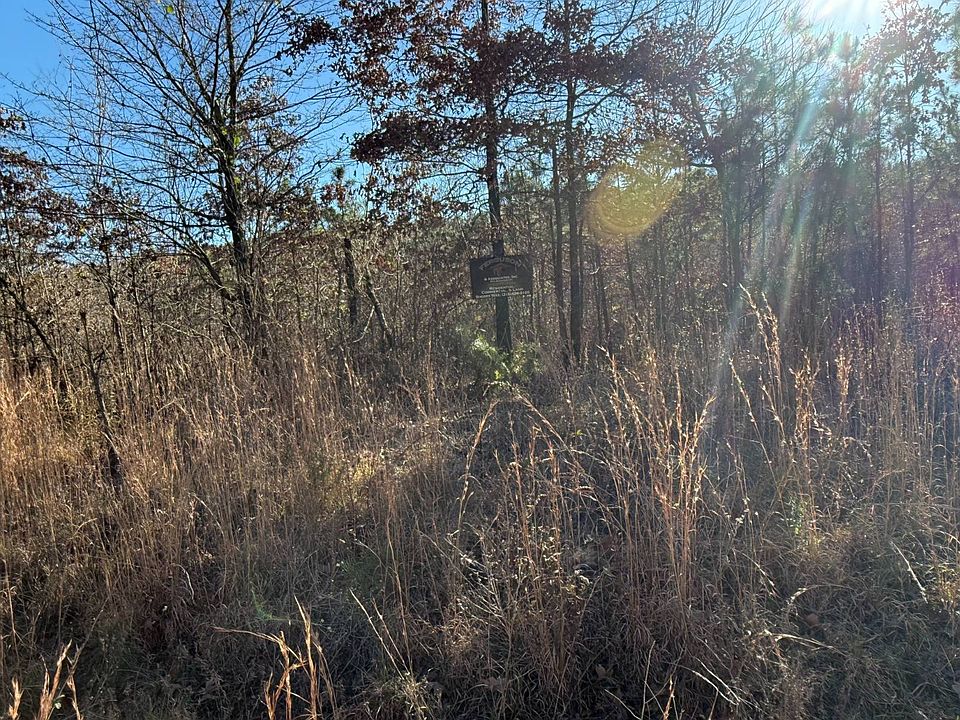 2nd image of 0 Polk County Rd #14