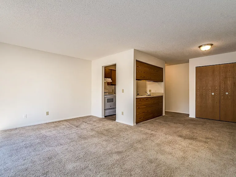 Living Area (Orchid View)