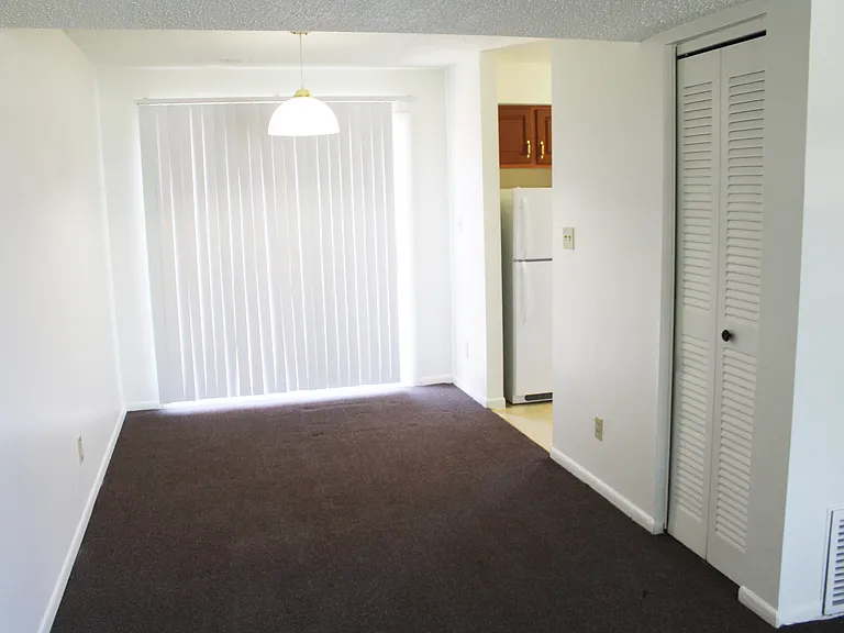 Carpeted Living Space