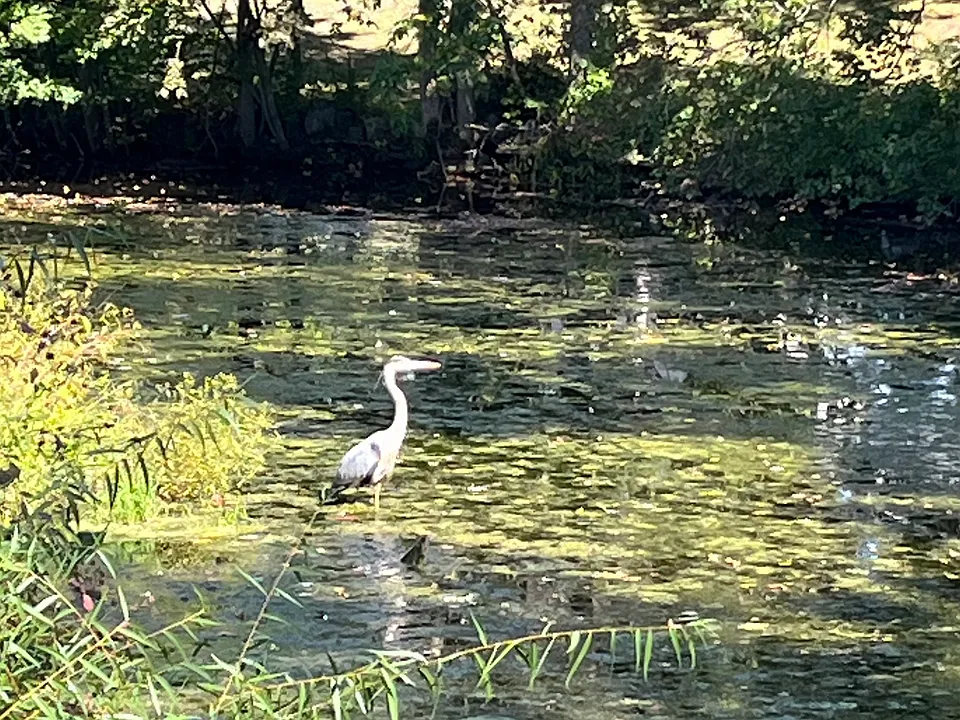 This guy loves this location too!