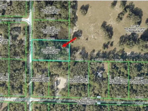 0 Cashew Dr Lot 4, Webster, FL 33597