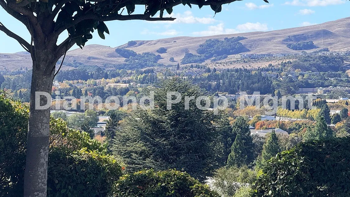 4 bed, 2.5 bath, 3024 sqft, $6,100 — Photo 3