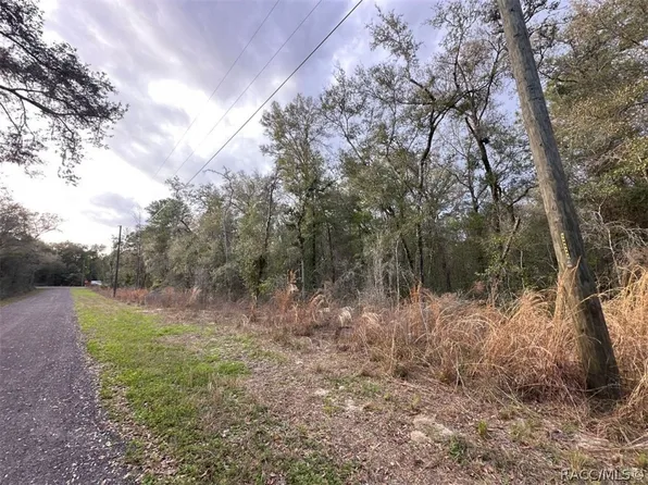 3505 E Lou Ln, Inverness, FL 34453