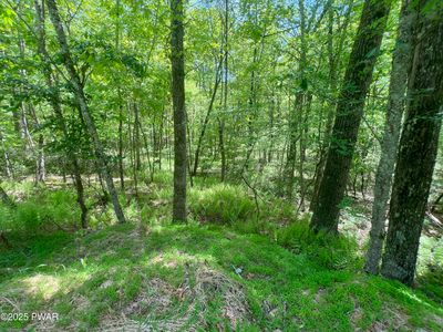 19 Brook Dr, Narrowsburg, NY, 12764