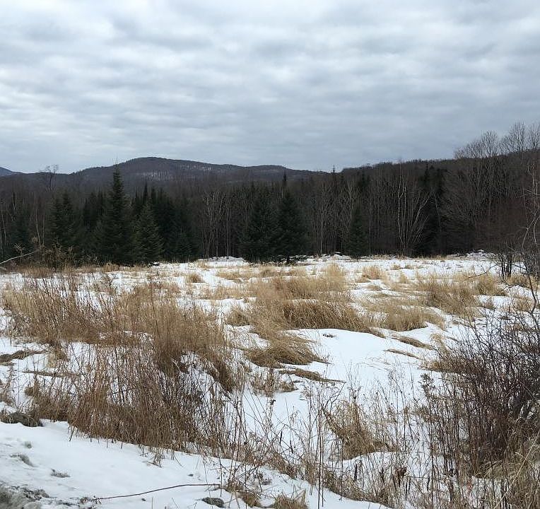 2nd image of 473 Codding Hollow Rd