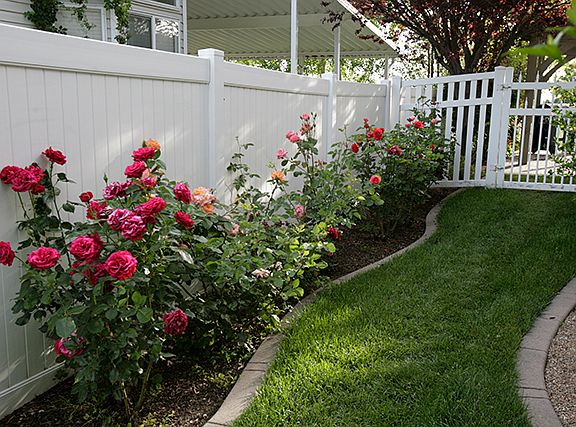 Small rose garden
