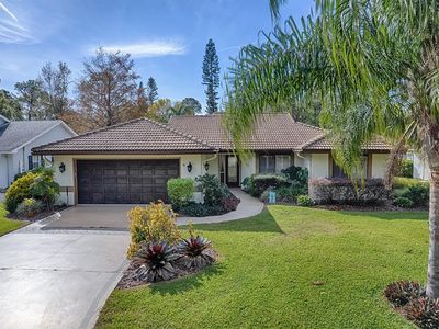 102 Cedar Way, Yalaha, FL, 34797
