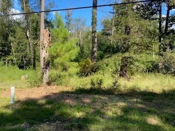 60 Park Ln, Folsom, LA 70437