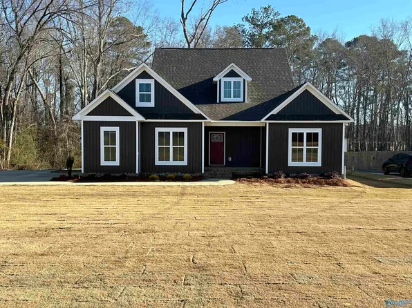 2801 Lister Ferry Rd, Southside, AL 35907