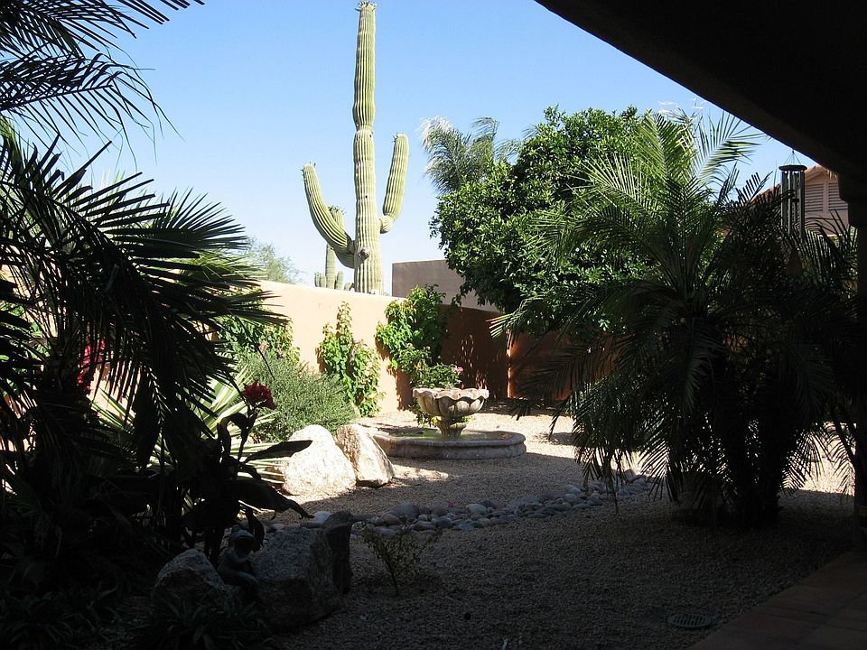 Lovely Backyard