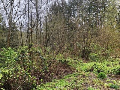0 NE Taylor Way, Chehalis, WA, 98532