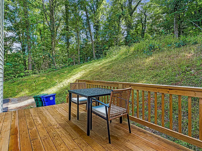 Rear porch with 4 steps down to driveway.