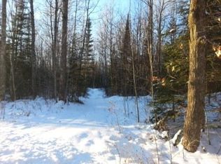 26.6 Acres Old Hwy #51, Merrill, WI 54452