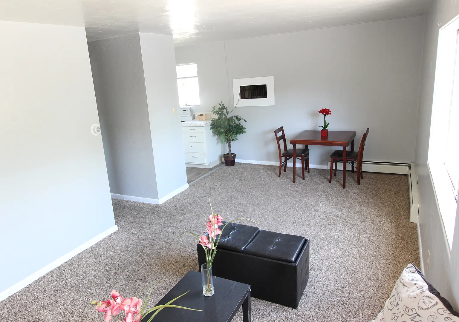 Rarely Available 1 bed 1 bath, 2 blocks from Colorado Mesa University — Photo 4