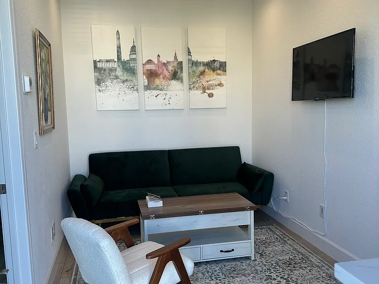 beautiful sleeper sofa & TV