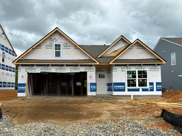 269 Chimney View Loop, Blountville, TN 37617