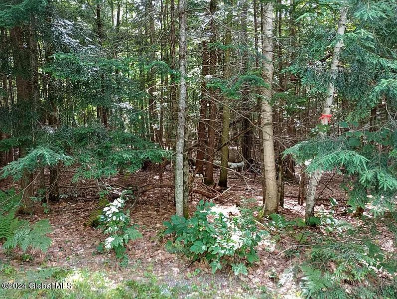 3rd image of L59 Antler Lake Road