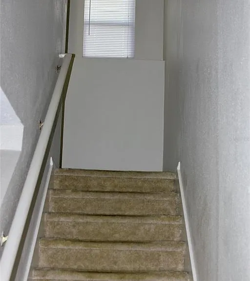 1017 Chalcedony St — Photo 11