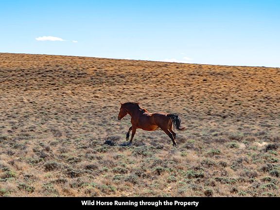 3rd image of 0 County Road 63