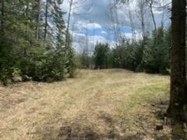 Lincoln Bay Dr, Alpena, MI 49707