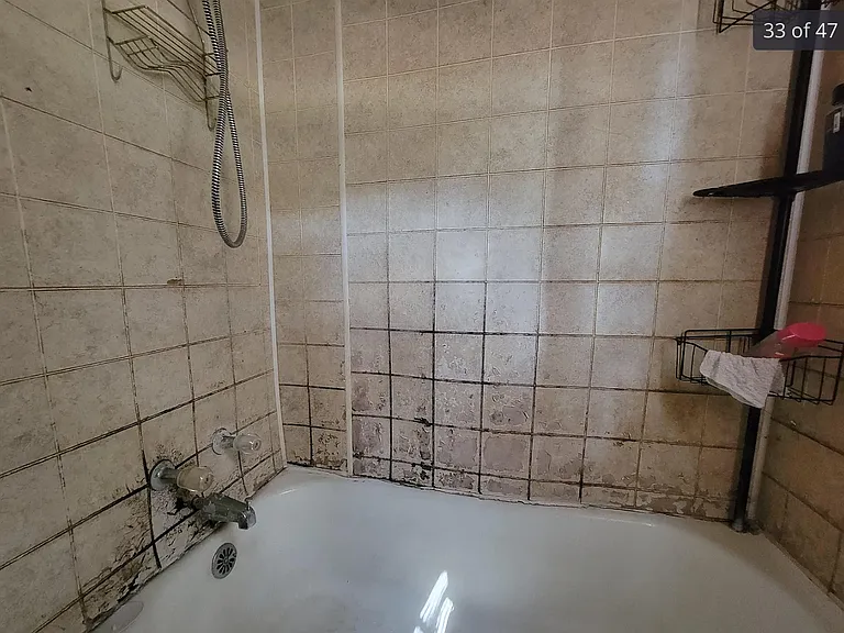 52 Pecan Dr — Photo 13