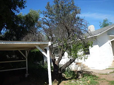 Tavern Rd — Photo 15