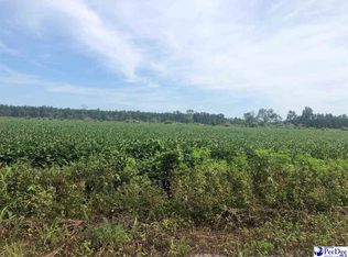 842 Windright Swann, Lake City, SC 29560