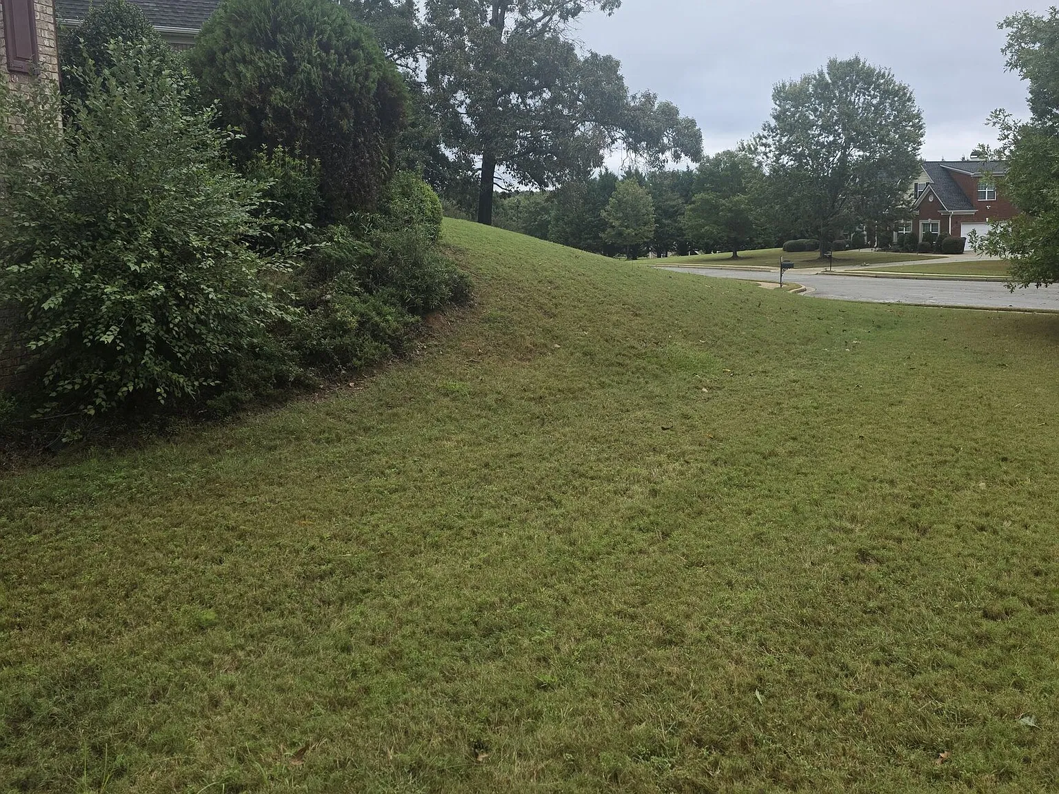5 bed, 3.5 bath, 3517 sqft, $3,400 — Photo 2