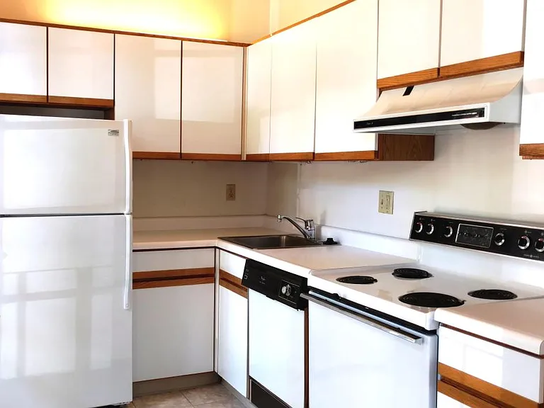 517 Shady Ave #12 — Photo 5