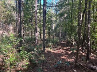 0 Needmore Rd, Roopville, GA 30170