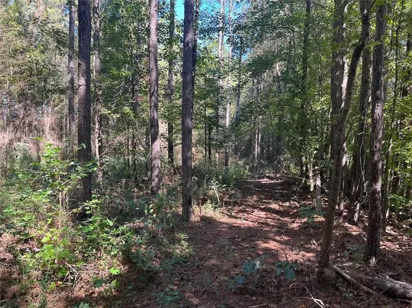 0 Needmore Rd, Roopville, GA 30170