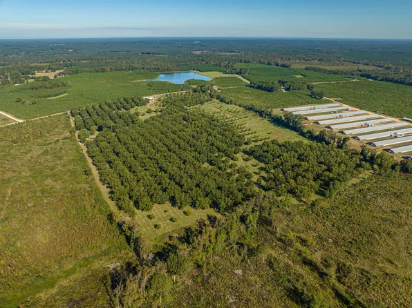 1183 Church Rd, Ridge Spring, SC 29129