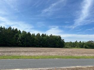 2 Reeves Farm Rd, Saint George, SC 29477