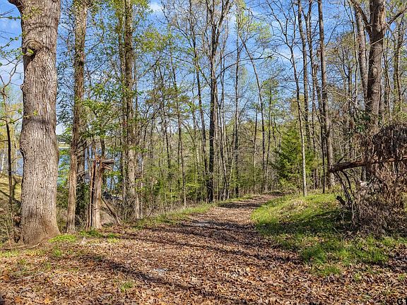 3rd image of 14216 E Ridge Rd