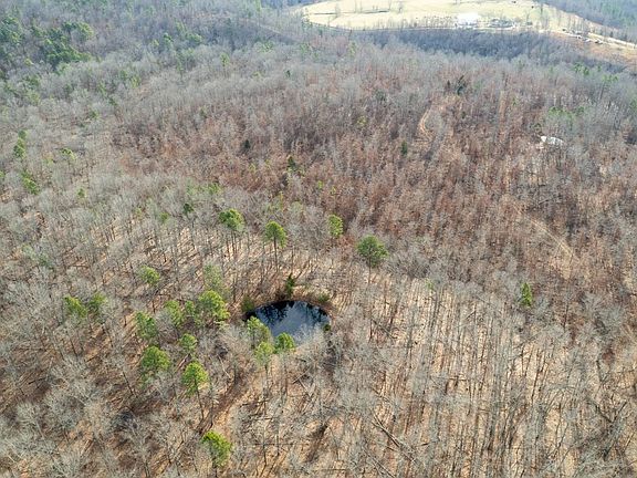 3rd image of 1278 Harlow Rd