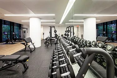Rented by Voro NYC
