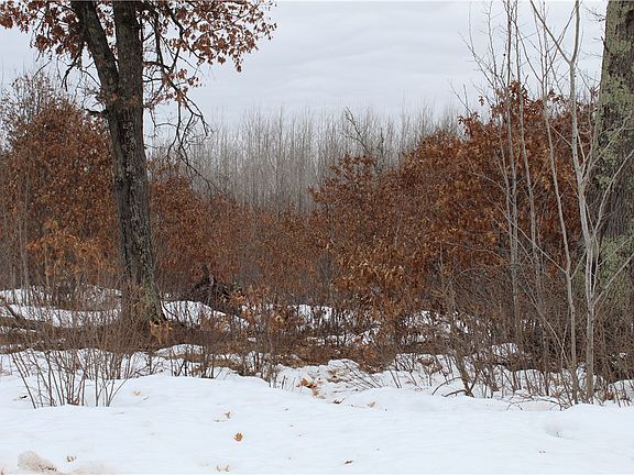 2nd image of 0 W Minerva Dam Road
