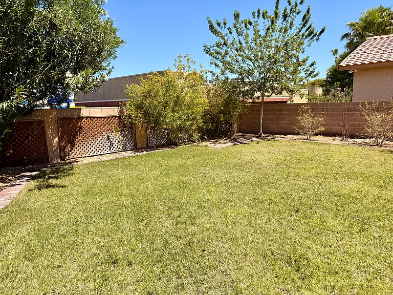 Grass area.