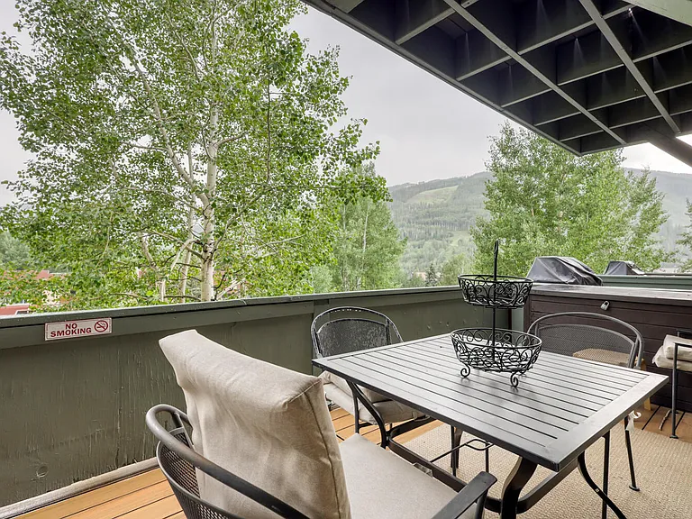 1063 Vail View Dr #1-1LIONS — Photo 17