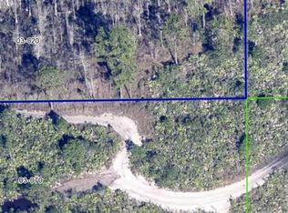 Dill Rd LOT 20, Orlando, FL 32820