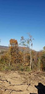 Horton Hollow Rd, Rogersville, TN, 37857