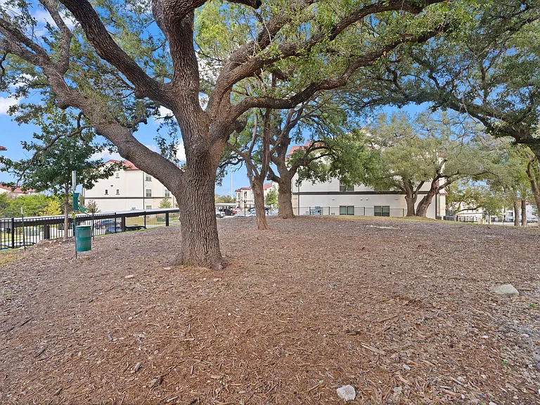 Water Oak — Photo 85