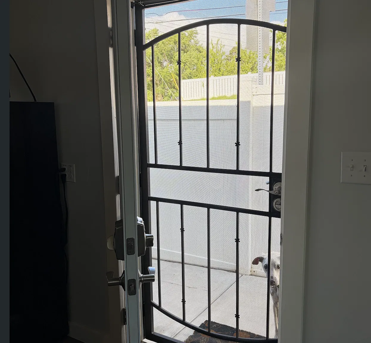 Studio, 250 sqft, $1,200 — Photo 2