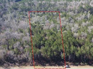 0 Highway 6, Pinopolis, SC 29469