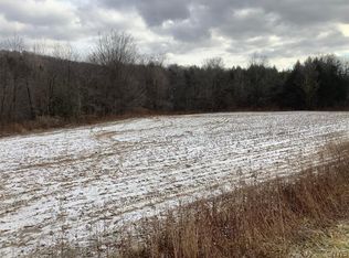 624 Hunts Corners Rd #19, Richford, NY 13835