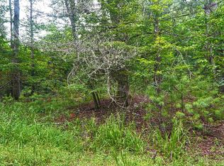 11 Rocking Chair Rd, Mineral Bluff, GA 30559