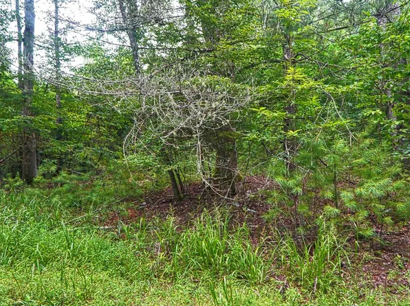 11 Rocking Chair Rd, Mineral Bluff, GA 30559